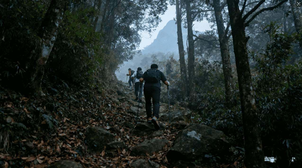 轻蜂加速器使用中无法访问Instagram的详细排查指南